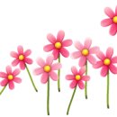 엘리제를 위하여 이미지