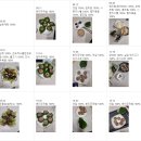 고도비만 남성이 운동없이 33kg 감량 성공한 쥬비스 &lt;내돈내산&gt;