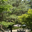 UR(원주시)-[동부순환로]-상-14 | [장소] 원주 팔순잔치 및 돌잔치 장소, 원주 고려원사랑채, 원주 메리골드, 원주 더 클래식N, 원주...