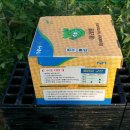 빛고을농장 이미지