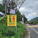 주암농장 | 울산역에서 간월재 가는법 353번 버스(구 328) 사슴농장코스 등산 후기