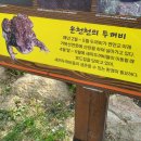 온천천관리사무소 이미지