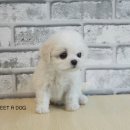 뽀송뽀송 - 금천구 시흥대로 201 | 뽀송뽀송
