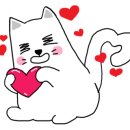 퍼스트 독 앤 캣 이미지