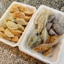 신한은행 | [충주시장맛집] "원조시장명동김치만두" 다양한 만두를 알차게 즐긴 충주 시장만두 후기