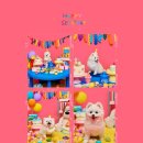 연이동물병원 | 동물자유연대 유기견 임시보호에서 입양 보낸 후기