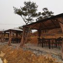 금산만악리수목원 오토캠핑장 이미지