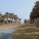 달카페&레스토랑 이미지