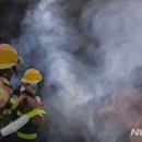 추산농로 이미지