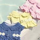 데이지 독 이미지