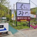 용천장어