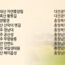 송월동 동화마을 특화거리 이미지