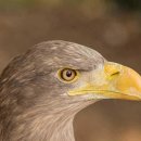 당산튼튼본의원 이미지