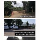 귤나잇 이미지