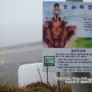 창순목장 네이버블로그
