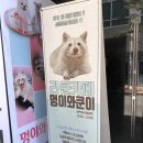 멍이와 쿤이 이미지