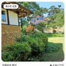 풀빛채 네이버블로그