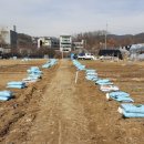 율동농장 이미지