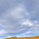 잇츠비의원 | 2025. 11. 월간주땡.