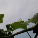 자옥농장 이미지