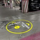 335 | [광교맛집] 광교 아브뉴프랑에서 무조건 먹어야하는 샤브샤브 맛집 335kitchen 후기!