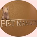 더 펫 애견샵 이미지