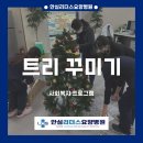 안심리더스요양병원 이미지