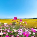 봉곡동274 이미지