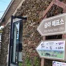 성읍승마장 이미지