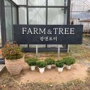자연앤팜 이미지