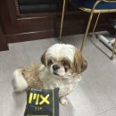 (주)엠엑스코리아 이미지