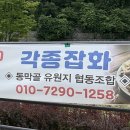 더계곡 | 서울 근처 당일치기 계곡 끝판왕, 연천 동막계곡 물놀이 후기 (주차,배달,수심)