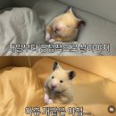 제일로 35번길 네이버블로그