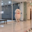 글로벌365mc병원 | [무한람스.1] 내돈내산 팔뚝 무한람스 + 부유방 제거 상담 솔직후기