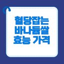 벌교읍 무만경로당 | 혈당 높아지면 바나듐쌀! 가격, 반응, 효능 당뇨식단 총정리