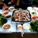투주제 Daum카페