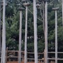 목조각장(이방호) 이미지