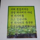 송우막썰어회집 이미지