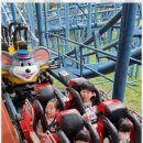 경용태권도 이미지