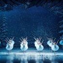 클래식투어코리아 이미지