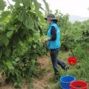 단원농장 이미지