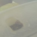 퍼베이비 이미지