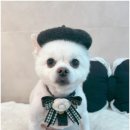 몽심살롱 이미지