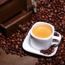 커피나무 꽃향기 이미지