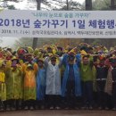백두대간 유아숲체험원 이미지
