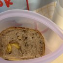 잠원도서관 | 8.17 잠원 한강 수영장 후기 낋여왔어요,,..