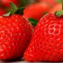 은기농장 이미지