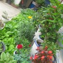 깔끔이 세탁소 이미지