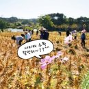 불곡고등학교 이미지