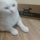 로얄케어클럽 이미지